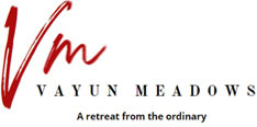 Vayun Meadows